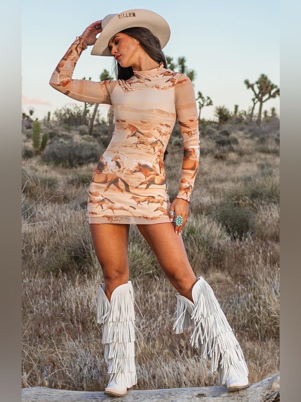 Urban Outfitters Horse Print Mesh Mock Neck Mini Dress Size M Western Equestrian